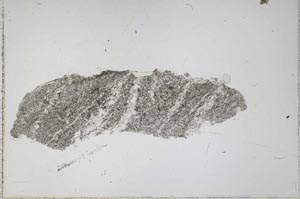 Plane Polarized, S43466