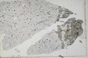 Plane Polarized, S43471