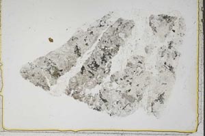 Plane Polarized, S43472