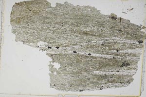 Plane Polarized, S43476