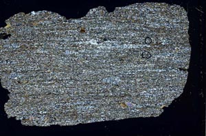 Cross Polarized, S43482