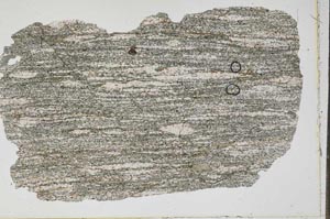 Plane Polarized, S43482