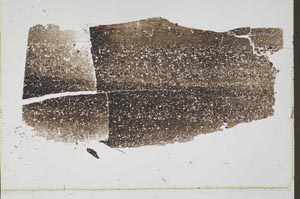 Plane Polarized, S43497