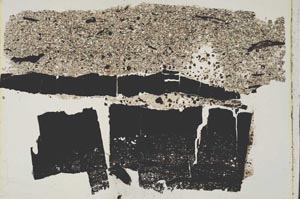 Plane Polarized, S43501