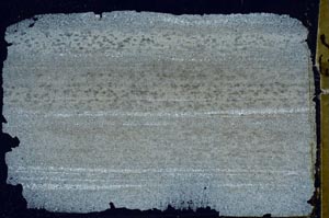 Cross Polarized, S43506