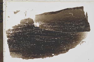 Plane Polarized, S43538