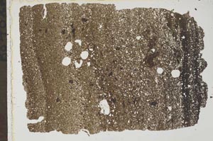 Plane Polarized, S43541