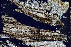 Cross Polarized, S43546