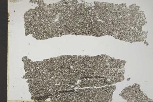 Plane Polarized, S43552