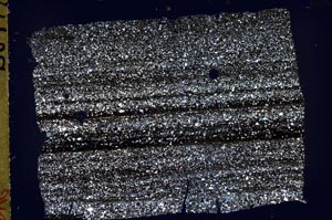 Cross Polarized, S43557