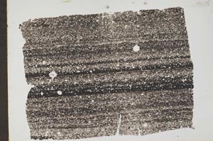 Plane Polarized, S43557