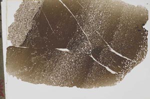 Plane Polarized, S43562
