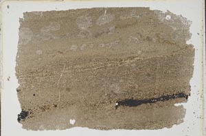 Plane Polarized, S43567