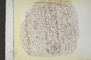 Plane Polarized, S43575
