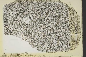 Plane Polarized, S43576