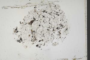 Plane Polarized, S43585