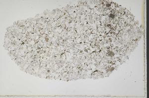 Plane Polarized, S43588