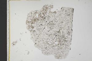 Plane Polarized, S43589