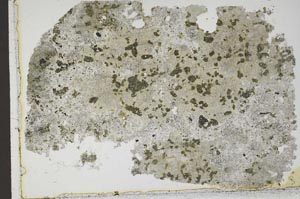 Plane Polarized, S43595