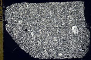 Cross Polarized, S43627