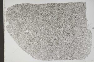 Plane Polarized, S43627