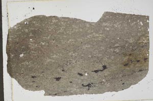 Plane Polarized, S43629