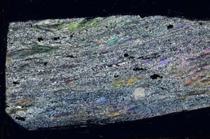 Cross Polarized, S43644