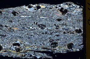 Cross Polarized, S43645