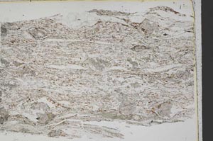 Plane Polarized, S43645