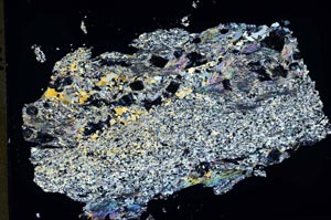 Cross Polarized, S43647