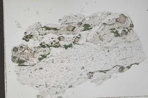 Plane Polarized, S43647