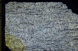 Cross Polarized, S43648