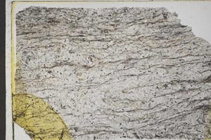 Plane Polarized, S43648