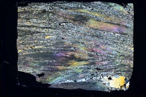 Cross Polarized, S43649