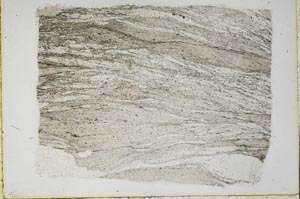 Plane Polarized, S43649