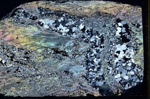 Cross Polarized, S43650