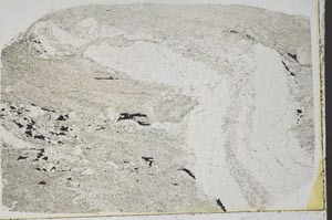 Plane Polarized, S43650