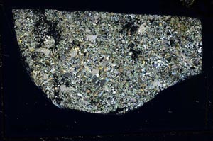 Cross Polarized, S43651