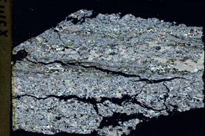 Cross Polarized, S43653