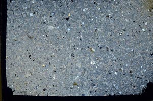 Cross Polarized, S43671