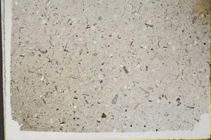 Plane Polarized, S43671