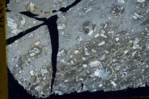 Cross Polarized, S43672