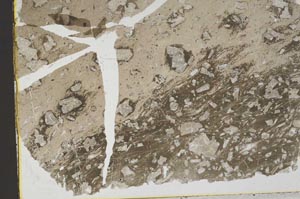 Plane Polarized, S43672