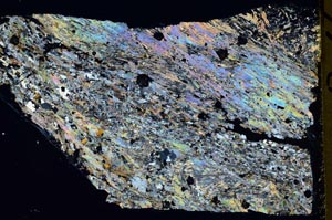 Cross Polarized, S43673