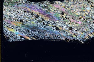 Cross Polarized, S43674