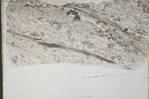 Plane Polarized, S43674