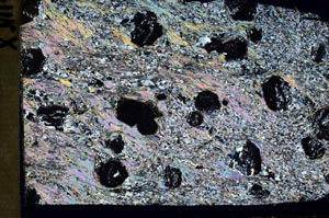 Cross Polarized, S43675