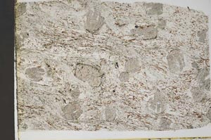 Plane Polarized, S43675