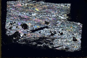 Cross Polarized, S43676