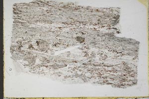 Plane Polarized, S43676